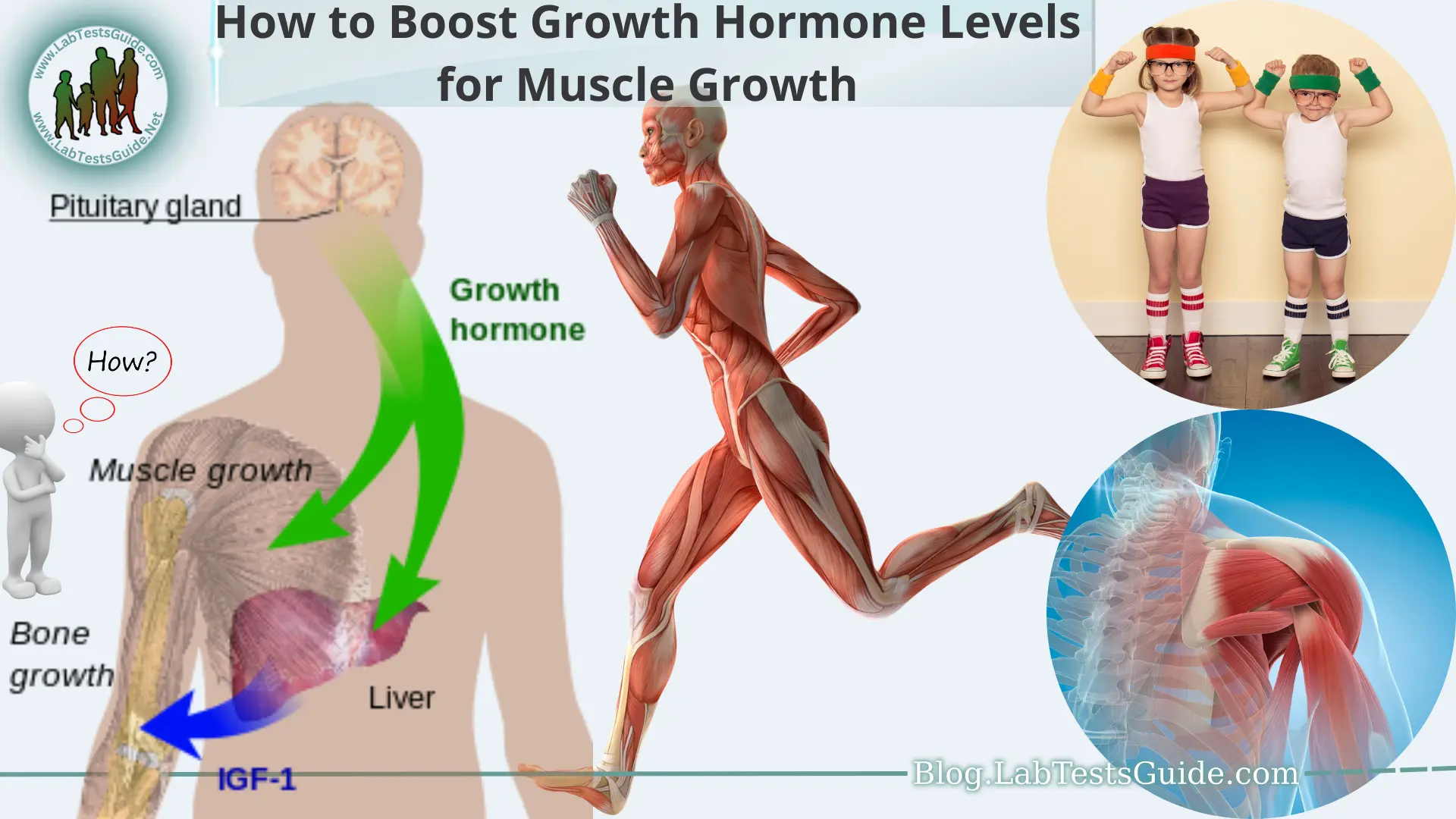 How to Boost Growth Hormone Levels for Muscle Growth