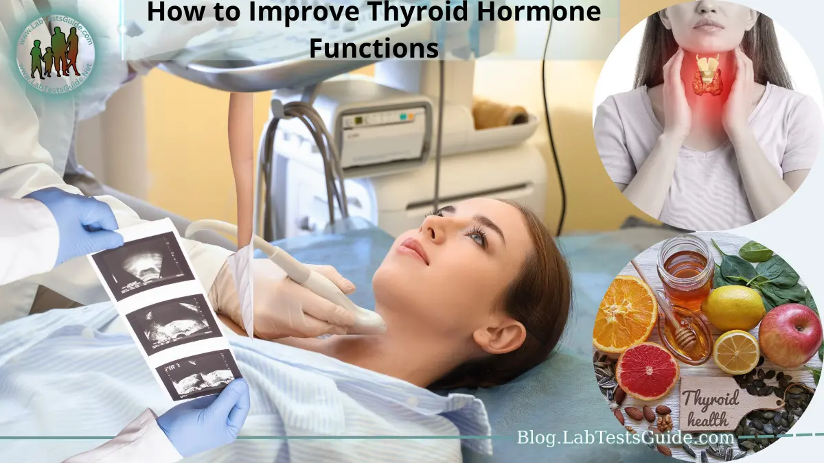 How to Improve Thyroid Hormone Functions
