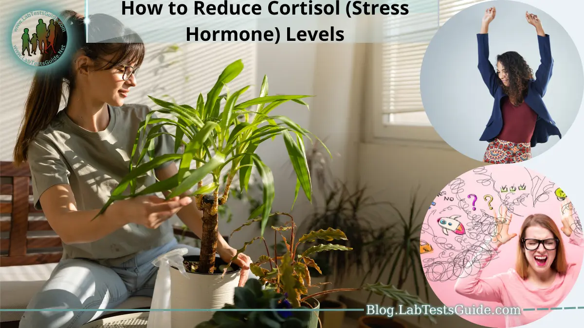 How to Reduce Cortisol (Stress Hormone) Levels