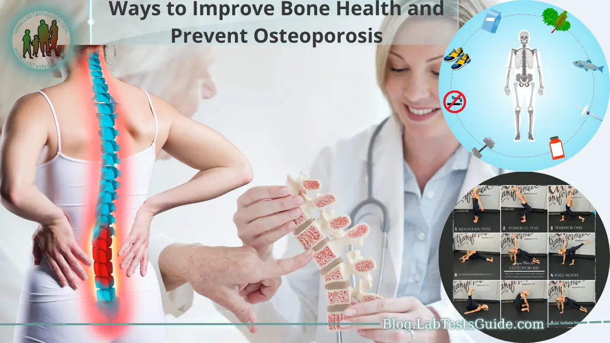 Ways to Improve Bone Health and Prevent Osteoporosis - Lab Tests Guide Blog