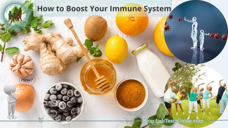Immune System
