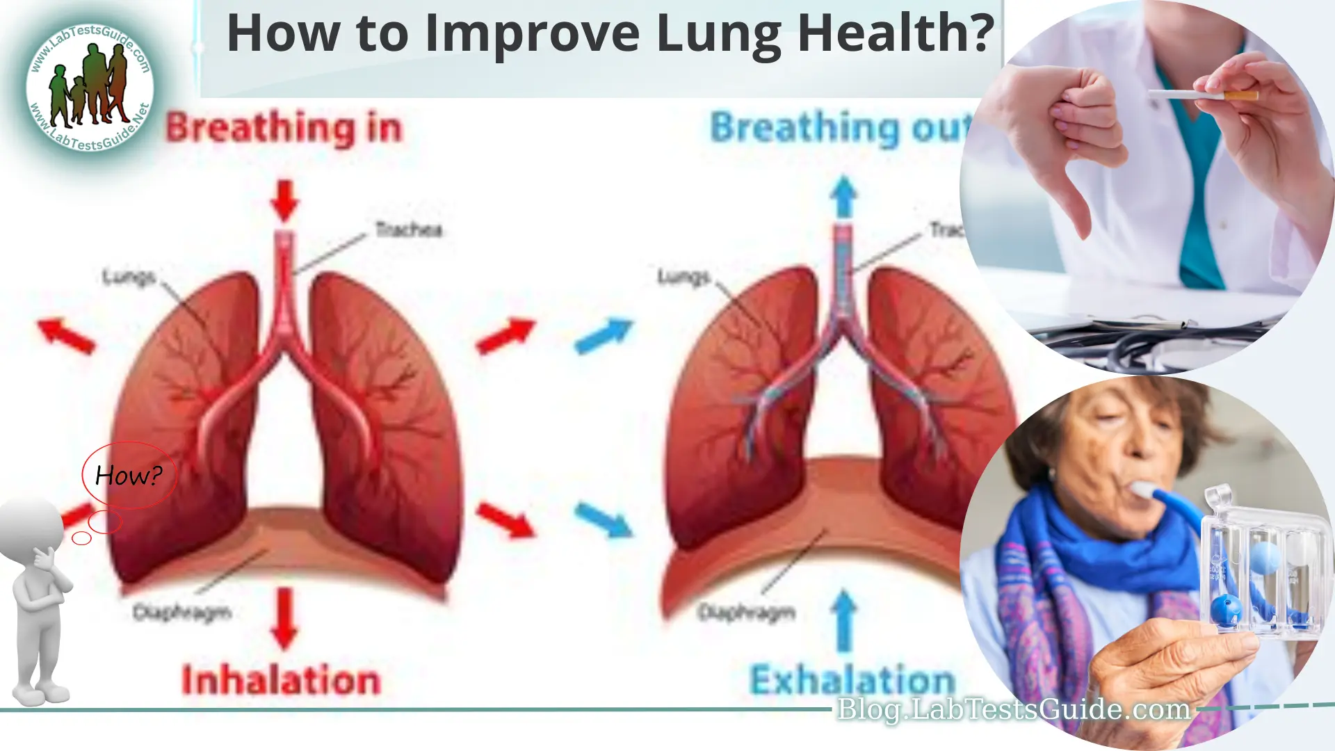 how-to-improve-lung-health-lab-tests-guide-blog