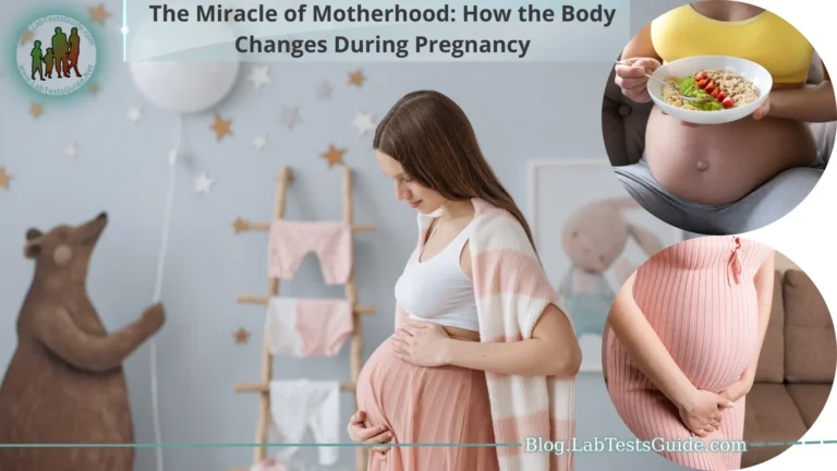 The Miracle of Motherhood How the Body Changes During Pregnancy