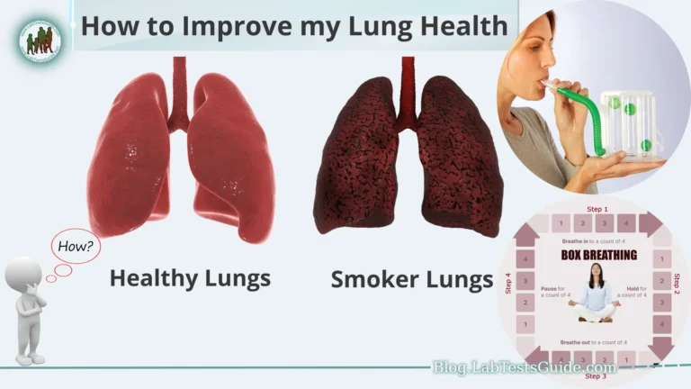 Welcome to the comprehensive guide on how to improve your lung health. Your lungs play a vital role in your overall well-being, as they are responsible for the exchange of oxygen and carbon dioxide, supplying your body with the essential oxygen needed for every cell's proper function.